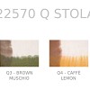S25 22570 Q